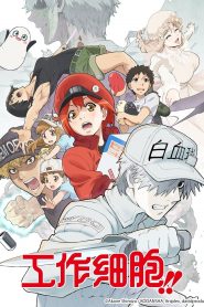 Hataraku Saibou 2 Temporada Background